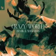 Обложка: J Majik & Wickman - Crazy World