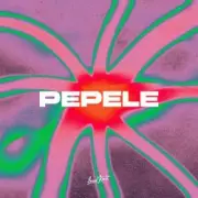 Обложка: AFRONOM & Lucas Estrada & Idd Aziz - Pepele