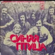 Обложка: ВИА Синяя Птица - Там, где клен шумит