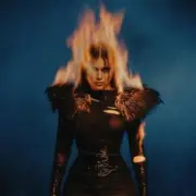 Обложка: BEARWOLF - Феникс