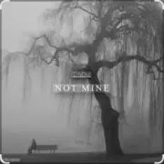 Обложка: DNDM - Not Mine (Extended)