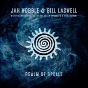 Обложка: Bill Laswell - Posthuman