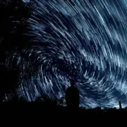 Обложка: Whitewildbear - Breakdown (Without words)