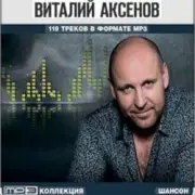 Обложка: Виталий Аксёнов - Карусели