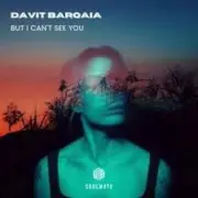 Обложка: Davit Barqaia - But I Can t See You