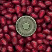 Обложка: Сплин - Приходи