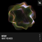Обложка: Ritchy - What You Need