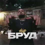 Обложка: Фир - БРУД