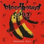 Обложка: Bloodhound gang - Disco Pogo