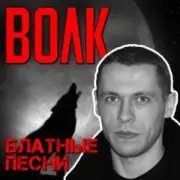 Обложка: Виталий Волк - Стая