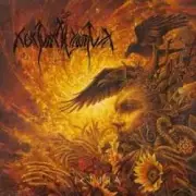 Обложка: Nokturnal Mortum - Sorrow Of Native Lands