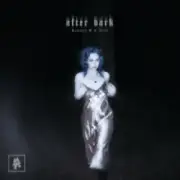 Обложка: Rameses B & Veela - after dark