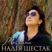 Обложка: Надія Шестак - Два дні