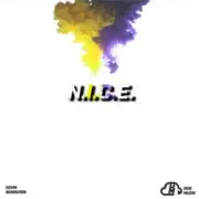 Обложка: Kevin Schouten - N.I.C.E.