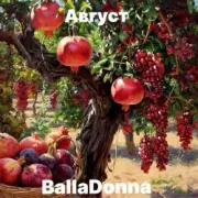Обложка: BallaDonna - Август