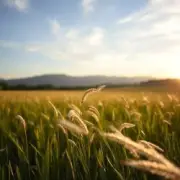 Сергей Видов - Ветерок