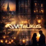 Обложка: ViTaLiKuS - Ночь прошла за шумной встречей года