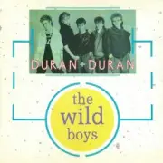 Обложка: Duran Duran - The Wild Boys