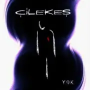 Обложка: Çilekeş - Kendimden Geriye