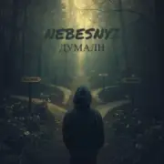 Обложка: Nebesnyi - ДУМАЛИ