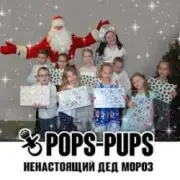Обложка: Pops-Pups - Ненастоящий Дед Мороз