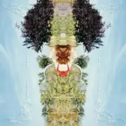 Обложка: Pei-Yu Hung - Scatter