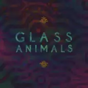 Обложка: Glass Animals - Psylla