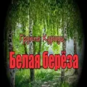 Обложка: Группа Курнуц - Белая береза