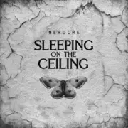 Обложка: Neroche - Dying Sun