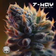 Обложка: T-Kay - Ganjah VIP (Original Mix)