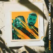 Обложка: Topic & Sofiya Nzau - Away
