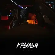 Обложка: KRBK - Крылья