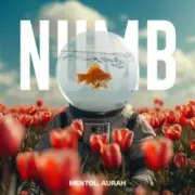Обложка: Linkin Park - Numb (Mentol Remix) Aurah Cover
