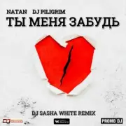 Обложка: Natan & DJ Piligrim - Ты Меня Забудь