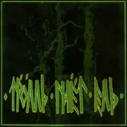 Обложка: Тролль Гнёт Ель - Верная Пинта