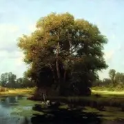 Обложка: Льонок - Шумiла сосна i явiр