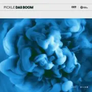 Обложка: Pickle - Das Boom