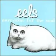Обложка: Eels - Novocaine For the Soul