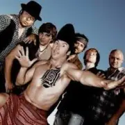 Обложка: Zdob şi Zdub feat. Трио Эрденко - Видели ночь