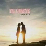 Обложка: DNDM & Davvi - Te Fuiste