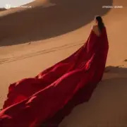 Обложка: Otnicka - Dunes