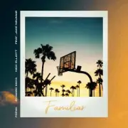 Обложка: Foínix & Edward Maya & Nick Elliott feat. Jake Neu - Familiar