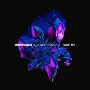 Обложка: Cosmic Gate - Feel It