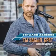 Обложка: Виталий Аксенов - Ты забыл брат