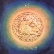 Обложка: Аквариум - Волки и Вороны