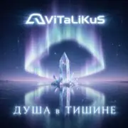 Обложка: ViTaLiKuS - Душа в тишине