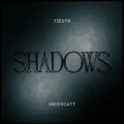 Обложка: Tiesto & Undercatt - Shadows