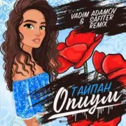 Обложка: Тайпан - Опиум