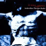 Обложка: In Strict Confidence - Zauberschloss (Mechanical Fairytale Remix By Siechtum)