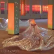 Обложка: Polar Son - Gangrene